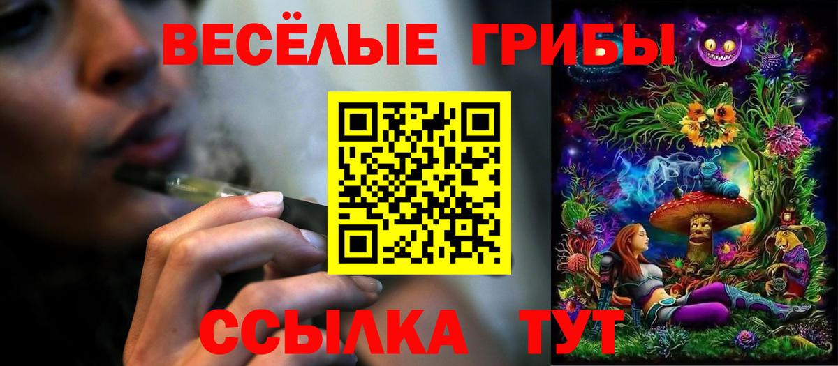 Галлюциногенные грибы Psilocybine cubensis Таганрог