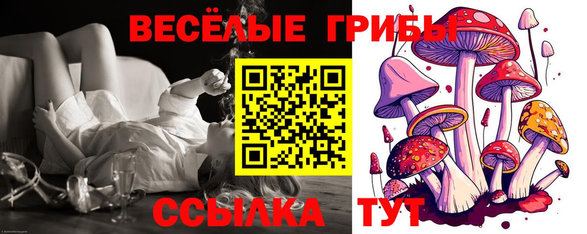 Псилоцибиновые грибы Psilocybe  Вход с VPN  Таганрог 